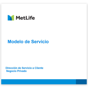 matriz-de-mantenimiento-polizas-metlife