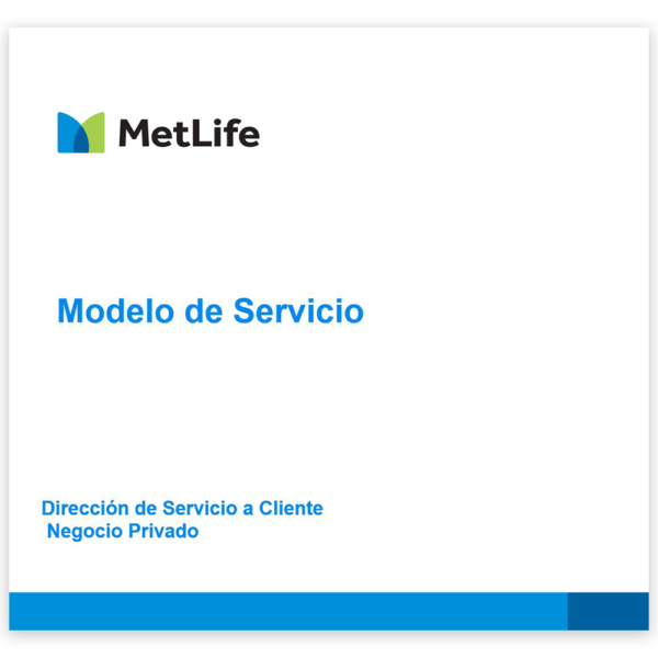 matriz-de-mantenimiento-polizas-metlife